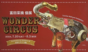 WONDER CIRCUS